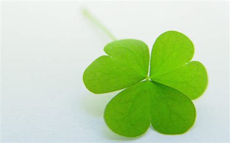 Four Leaf Clover Backgrounds - Wallpaper Cave