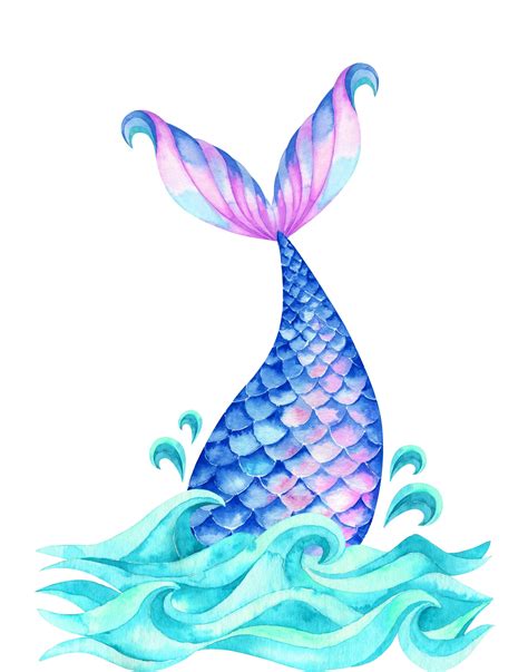 Mermaid Tail Drawing
