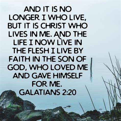 Catholic Scripture Verses New American Bible: The Leading Catholic