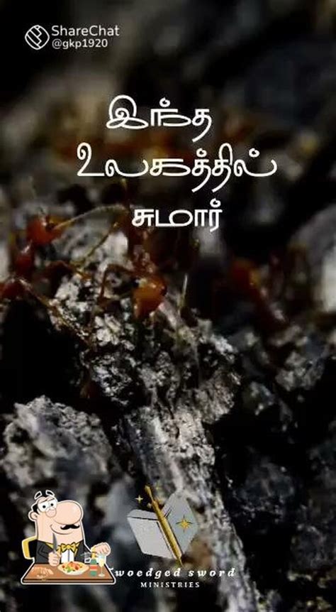 Menu at Bismillah Briyani Centre(HALAL), Musiri