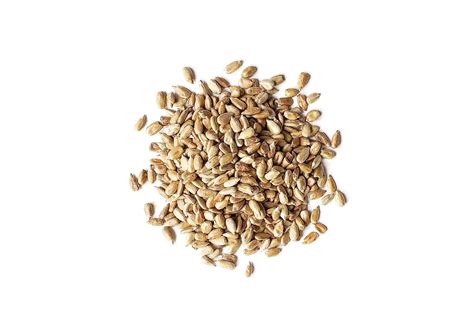 Buy Organic Roasted and Salted Sunflower Seeds, 8 Ounces - Non-GMO ...