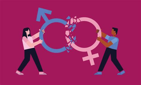 Image result for Structural Functionalist Paradigm Gender Examples