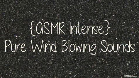 Howling Wind Sounds ASMR 的图像结果