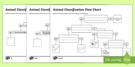 What is a Flow Chart? - Answered - Twinkl Teaching Wiki