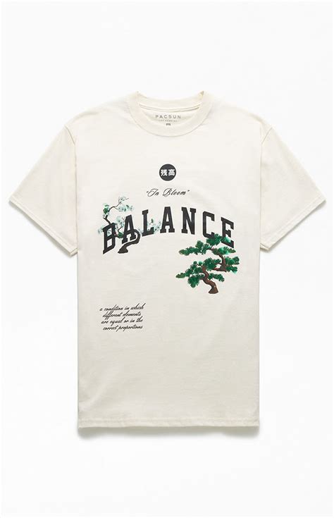 PacSun Balance T-Shirt | PacSun