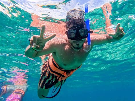 Isla Mujeres Catamaran Tour with Buffet & An Open Bar - Klook India