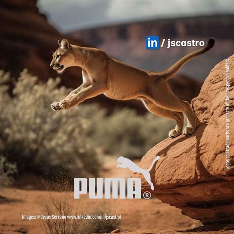 Puma, Twitter y Swarovski: los logos de las marcas cobran vida como ...
