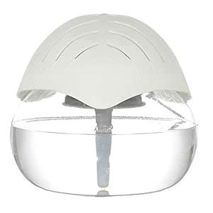 Fragair Portable Room Air Purifier Aroma Diffuser or Humidifier ...