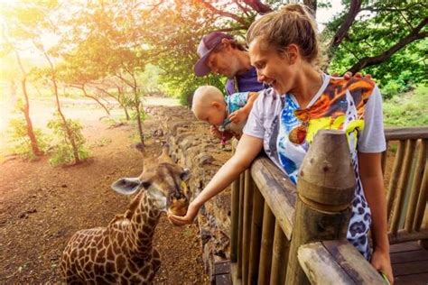Zoos In Cape Town: Enjoy a day out at these animal havens