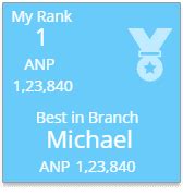 Business Intelligence Dashboard Implementation, BI Dashboards, USA