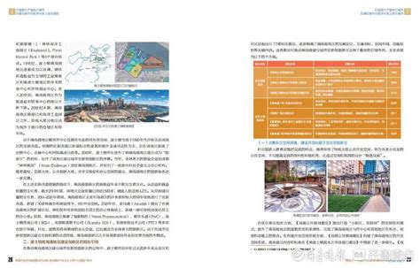 青岛发布推进国际化+行动计划，对标35座名城定下125项任务_建设_城市_海洋