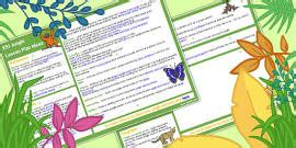 KS1 Minibeast Lesson Plan Ideas (teacher made) - Twinkl