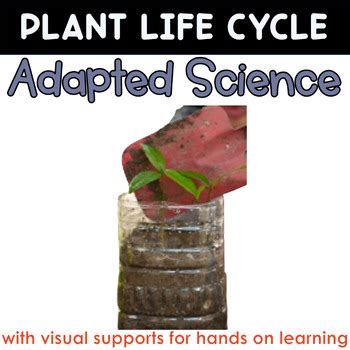 Image result for Recycle Science Experiment