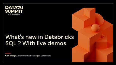 Databricks Demo 的图像结果