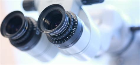 Lab Microscope Training 的图像结果