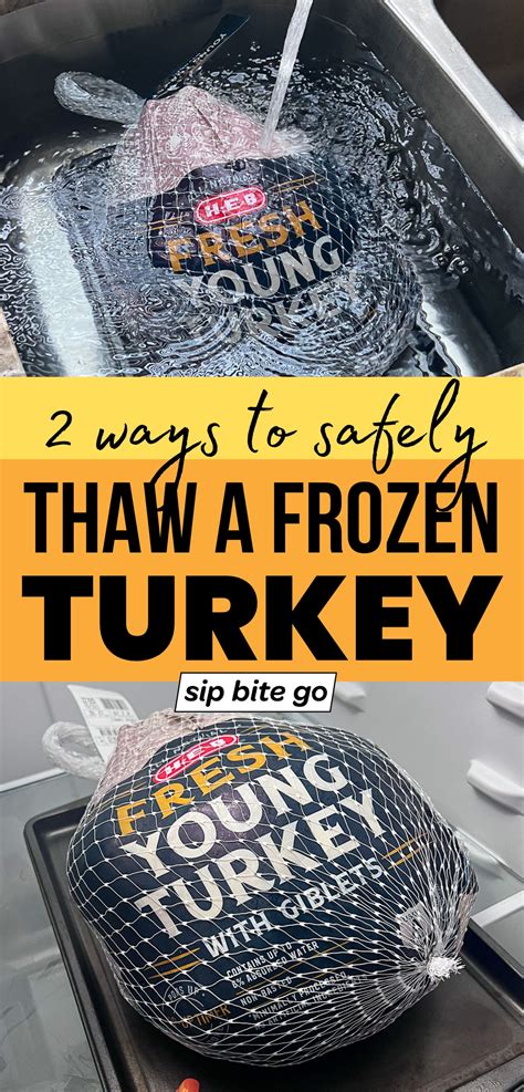 How To Defrost Frozen Turkey Meat at Logan Bauer blog