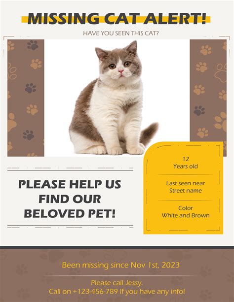 Engaging and Clear Missing Cat Flyer Template - WordLayouts