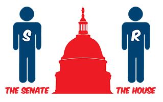 Example Senate Drawing 的图像结果