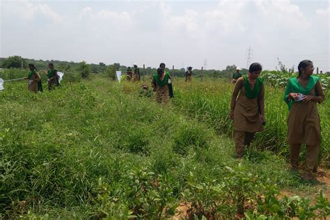 N.S. College of Horticultural Sciences | Markapur, Andhra Pradesh