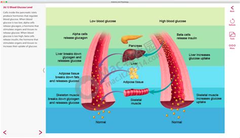 医学 的图像结果