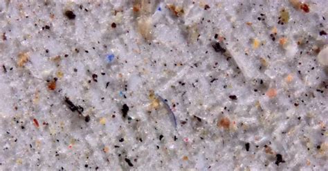 'Plastic Rain' Shows Shocking Amount Of Tiny Plastic Pieces, Less Than ...