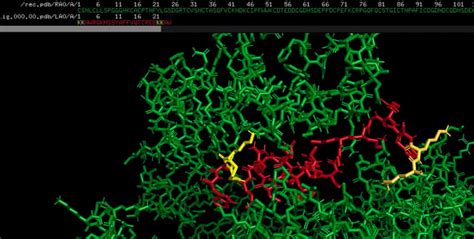 Image result for PyMOL Electrostatic Potential