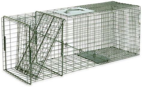 DukeTraps Buy Duke Traps Raccoon Cage Trap Online India | Ubuy