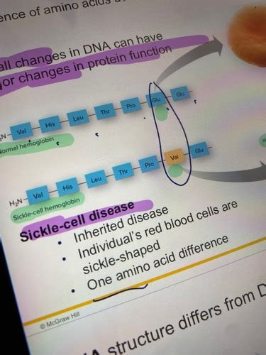 Image result for Bio Chapter 4 Quiz