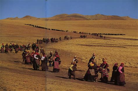 Why Nomadic Tribes Need To Move: Survival and Adaptation
