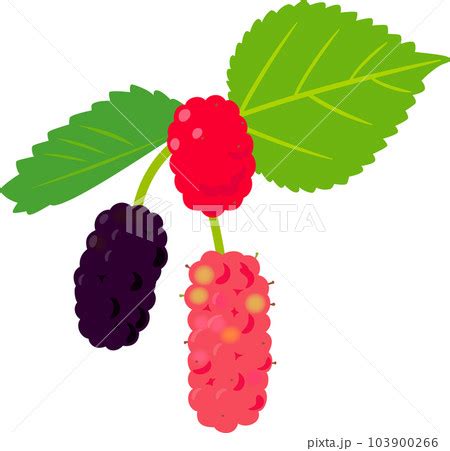 Image result for Un Sample Script