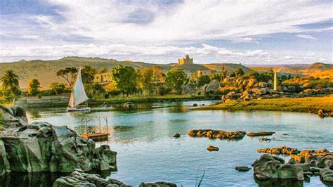 Agriculture in Egypt 的图像结果