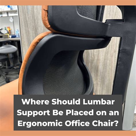 Where Should Lumbar Support Be Placed on an Ergonomic Office Chair? - Ergonow
