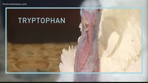 Verify: Does turkey make you sleepy? | firstcoastnews.com