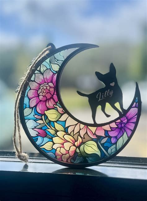 Lucy Sinclair on LinkedIn: Just over three weeks ago, we said goodbye to my furbaby Lilly, after 11…