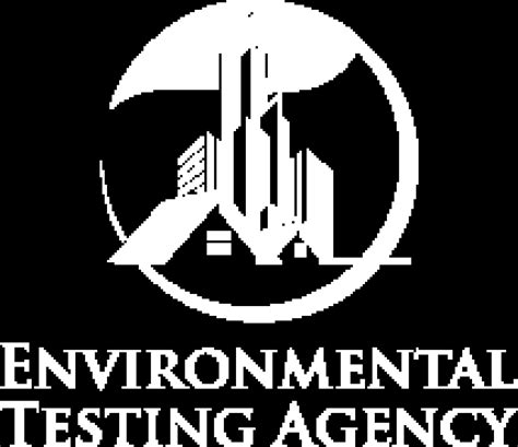 Yellow Mold Warning: Dangers, Causes & Easy Removal Tips