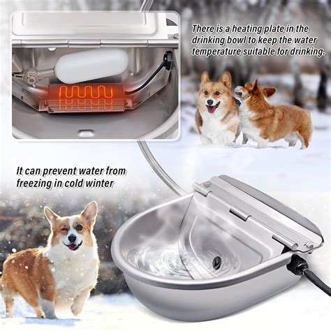 Buy KHEARPSL Automatic Heated Waterer Heated Dog Bowl Pet Thermal-Bowl ...