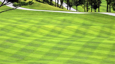 Record temperatures - Impact on soil temps?