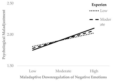Stress, Emotion Regulation, and Well-Being among Canadian Faculty ...