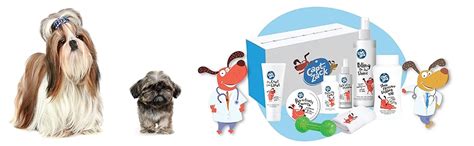 Buy Captain Zack Dog Groom Box for All Breeds | Ultimate 8-in-1, Head ...