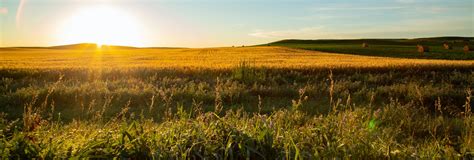 Ward County Inmate Locator | Ward County, ND - Official Website