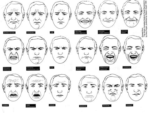 Facial Expressions Chart