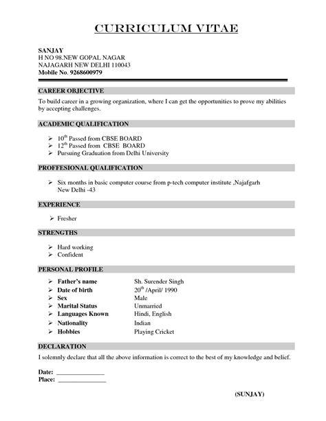 Curriculum vitae CV Examples 的图像结果