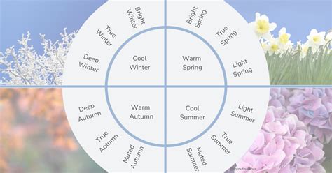 Colour Type 的图像结果