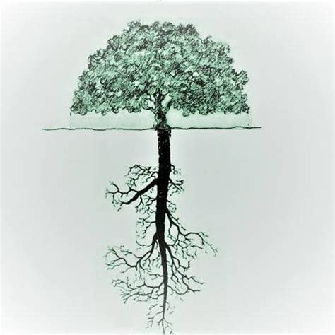 Image result for Time Topic Taproot