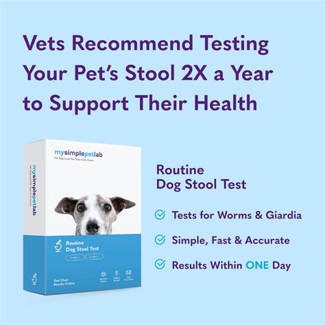 Hookworms In Dogs Poop