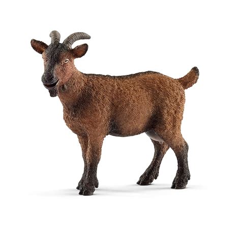 Buy Scheich Goat, Multi Color - Schleich Online at Low Prices in India ...