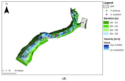 Habitat Use by Pseudochondrostoma duriense and Squalius carolitertii ...