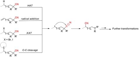A Comprehensive Review on Radical-Mediated Intramolecular Cyano Group ...