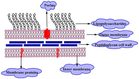 Resistance of Gram-Negative Bacteria to Current Antibacterial Agents ...
