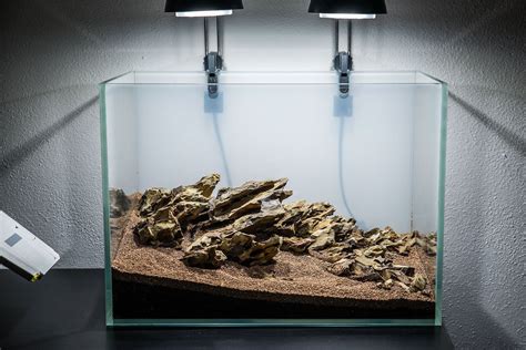 Aquascaping Rocks: Planted Aquarium Hardscape Essentials Part 2 ...